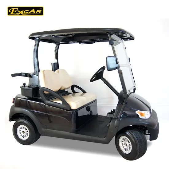 Excar DC 2人乗り電動ゴルフカートバギー