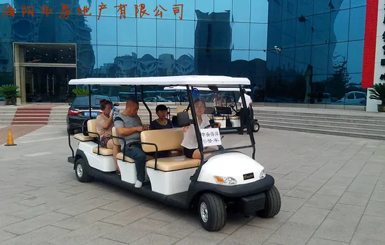 Cheap 11 Passengers Electric Golf Cart for Sale 